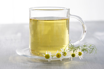 Camomille Romaine - Tisane