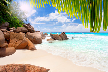 herrliche Seychellen