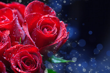 Red Roses design
