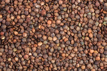 Background of dried french lentils