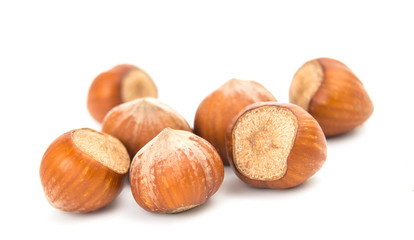 hazel nut isolated