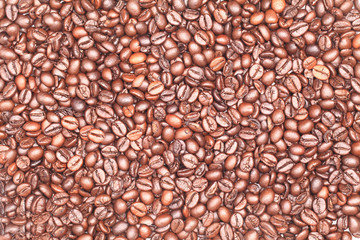 coffee bean