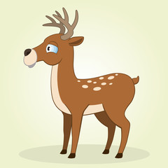Deer
