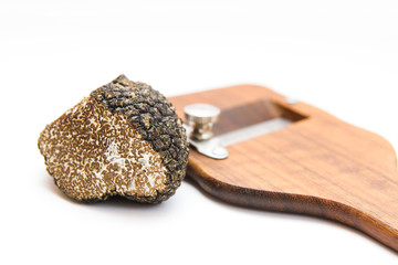 Sommertrüffel / Tuber aestivum