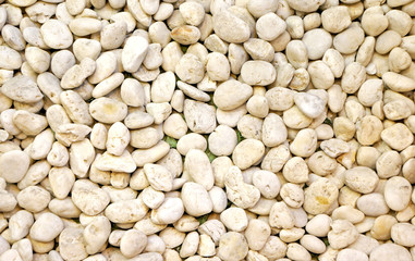 Small naturally polished white rock pebbles background
