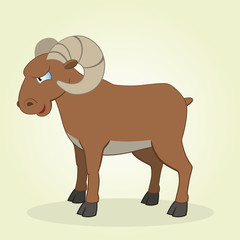 Ram