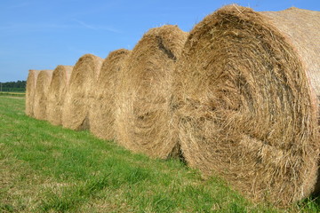 balles rondes de foin