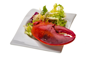 Lobster leg with salad