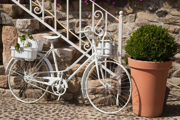 Fototapeta na wymiar Le vélo blanc