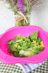 frischer Salat