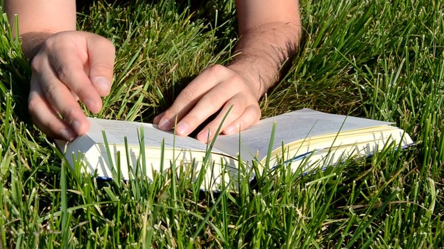 Buch Wiese Lesen Umbl&auml;ttern