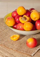 cherry-plums and apricots