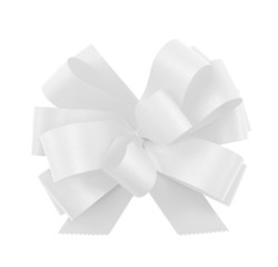 Gift ribbon bow isolated