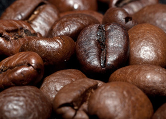 coffee beans