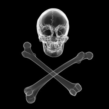 Skull and crossbones - a mark of the danger warning