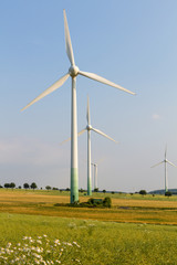 Wind engines with wild meadow and wheat field