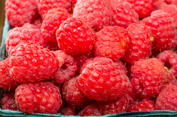 Fresh red raspberries on display at the market
