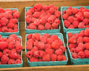 Fresh red raspberries on display at the market