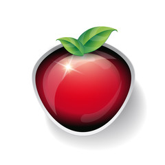 Natural button with green leaves