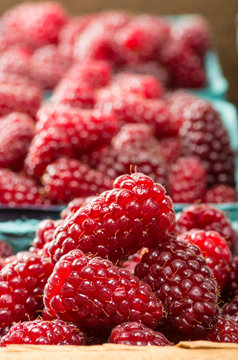 Fresh Tayberries on display at the market