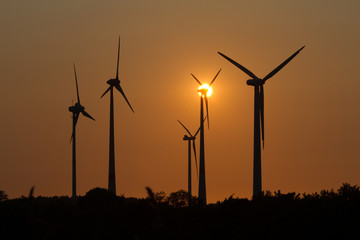 Wind engines in rural scene with setting sun