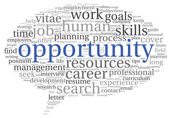Opportunity concept in word cloud