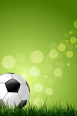 Soccer Ball on Green Grass Background