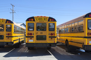 Obraz na płótnie Canvas autobusy szkolne