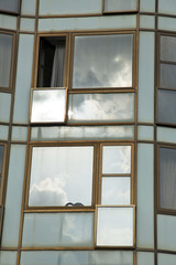 Reflective Windows