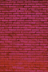 Obraz premium ceglane tło