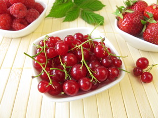 Rote Sommerbeeren