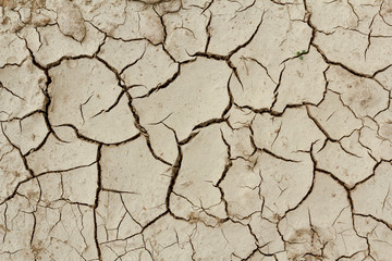 grunge mud cracks texture