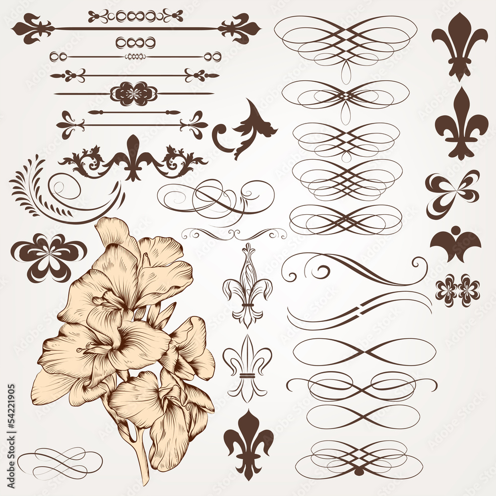 Canvas Prints vector set of vintage calligraphic design elements and page deco