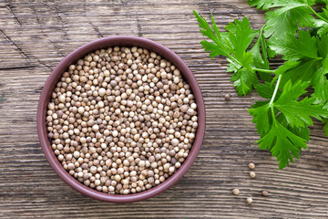 Coriander