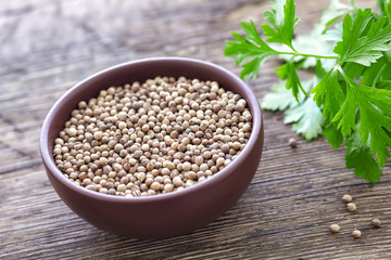 Coriander