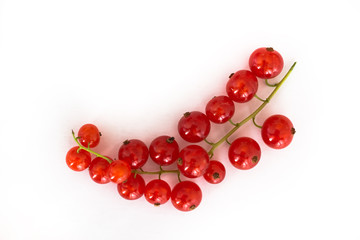 currants on white background