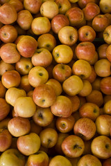 apples