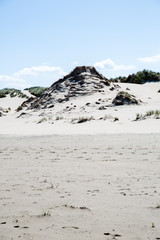 Dünenlandschaft auf Norderney, Deutschland