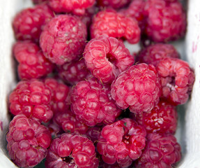 raspberries