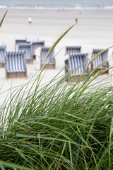 Dünengras und Strandkörbe am Strand von Norderney, Deutschland