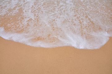 Fototapeta na wymiar wave of sea on the sandy beach