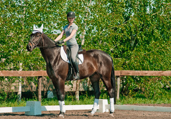 Obraz premium riding