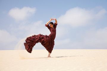 flamenco in the dunes - obrazy, fototapety, plakaty