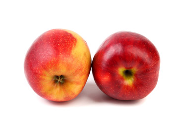 Two red apples are located on a white background