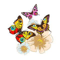 Obraz na płótnie Canvas butterfly,butterflies vector