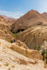 mountain oasis Chebika in Sahara desert, Tunisia