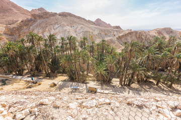 mountain oasis Chebika in Sahara desert, Tunisia