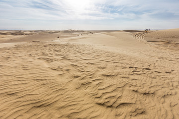 Fototapeta na wymiar sand dune of Sahara desert in Tunisia