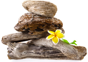 bouts de bois flotté superposés