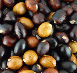close-up of chestnuts